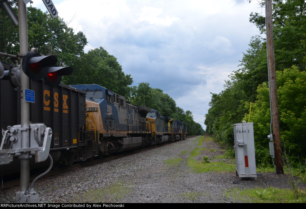CSX 289